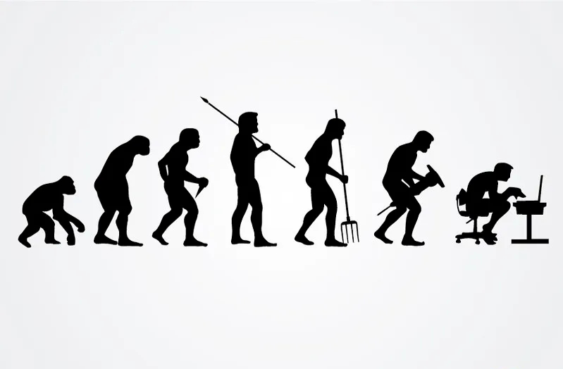 Flight of the Storks